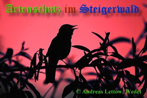 Copyright AiS / 2009 Andreas Lettow, Wedel Bild zum Eintrag (21671-160)