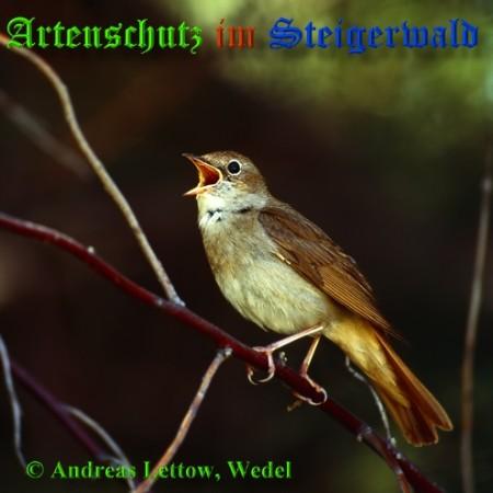 Copyright AiS / 2009 Andreas Lettow, Wedel Bild zum Eintrag (21672-160)