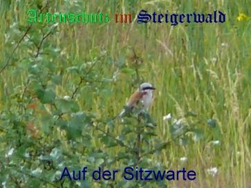 Copyright AiS / Klaus Weidner Bild zum Eintrag (21687-160)