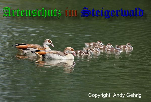 Copyright AiS - Gehrig Bild zum Eintrag (21694-160)