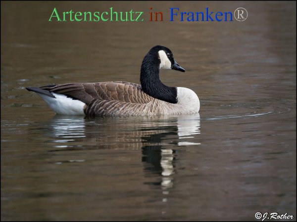 Copyright AiF Johannes Rother Bild zum Eintrag (21699-160)
