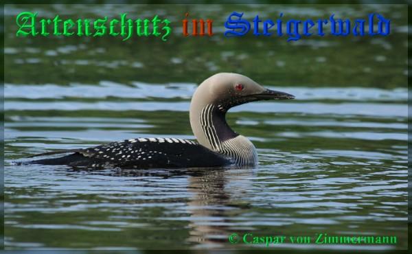 Copyright AiS / 2009 Caspar von Zimmermann Bild zum Eintrag (21721-160)