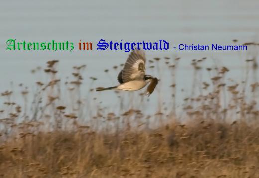 Copyright AiS / 2009 / Christian Neumann / Tornadoropa Bild zum Eintrag (21748-160)