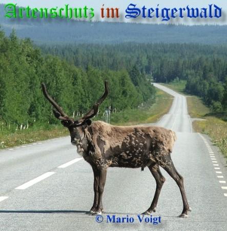 Copyright AiS / 2009 Mario Voigt Bild zum Eintrag (21787-160)