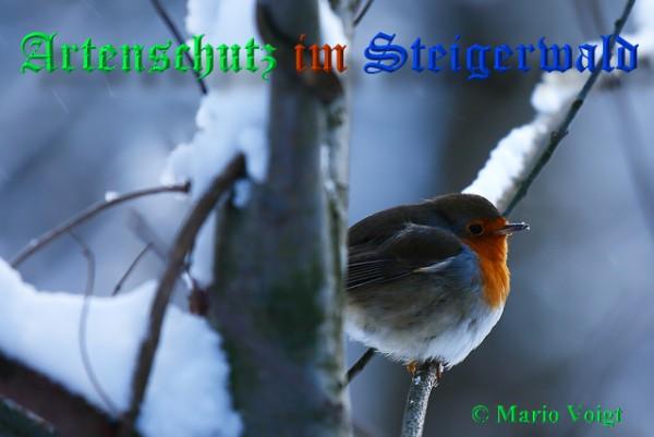 Copyright AiS / 2009 Mario Voigt Bild zum Eintrag (21973-160)