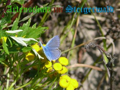 Copyright AiS / Klaus Weidner Bild zum Eintrag (22040-160)