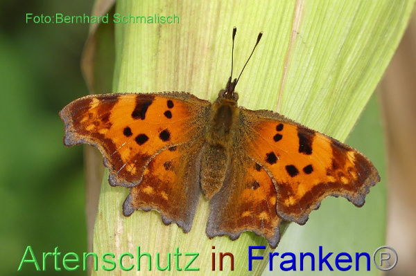 Copyright AiF / Bernhard Schmalisch Bild zum Eintrag (22048-160)