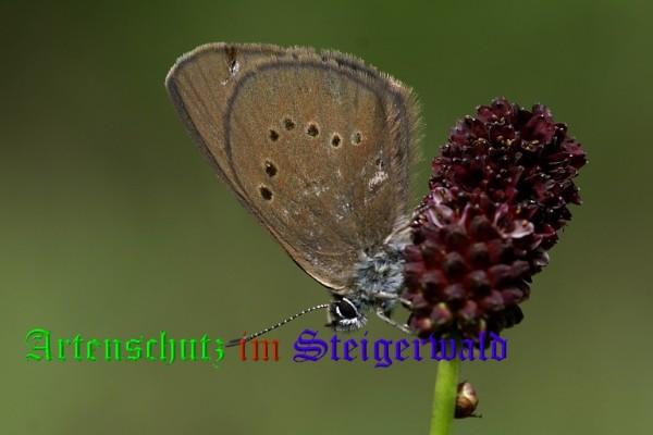 Copyright AiS / Mario Meier Bild zum Eintrag (22102-160)