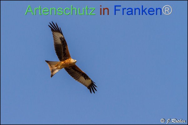 Copyright AiF Johannes Rother Bild zum Eintrag (22194-160)