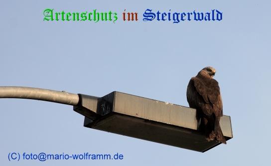 Copyright AiS / 2009 Mario Wolfram Bild zum Eintrag (22196-160)
