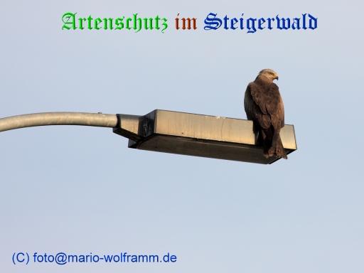 Copyright AiS / 2009 Mario Wolfram Bild zum Eintrag (22197-160)