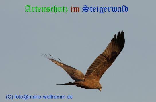 Copyright AiS / 2009 Mario Wolfram Bild zum Eintrag (22198-160)