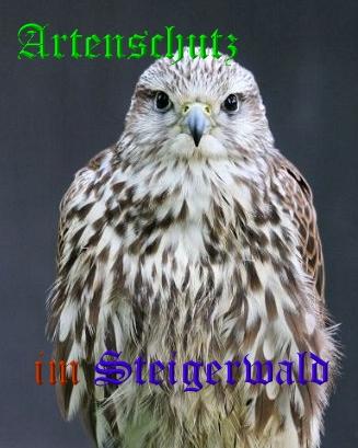 Copyright AiS / Günter Neuberger Bild zum Eintrag (22219-160)