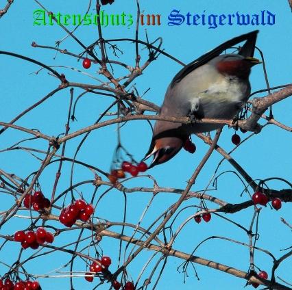 Copyright AiS / 2009 Dr. Georg Sperber Bild zum Eintrag (22252-160)