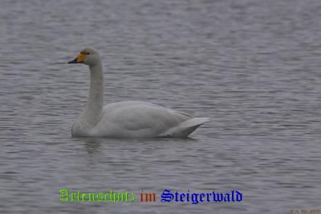 Copyright AiS / 2008 Ulrich Rösch Bild zum Eintrag (22290-160)