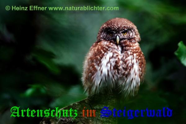 Copyright AiS / 2009 Heinz Effner www.naturablichter.com Bild zum Eintrag (22316-160)