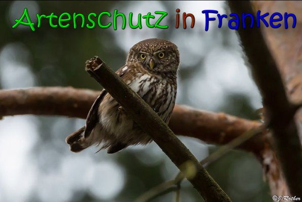 Copyright AiS Johannes Rother Bild zum Eintrag (22318-160)