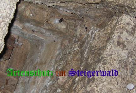 Bild zum Eintrag (22357-160)