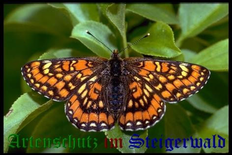 Copyright AiS / Mario Maier Bild zum Eintrag (22417-160)