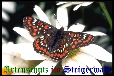 Copyright AiS / Mario Maier Bild zum Eintrag (22418-160)