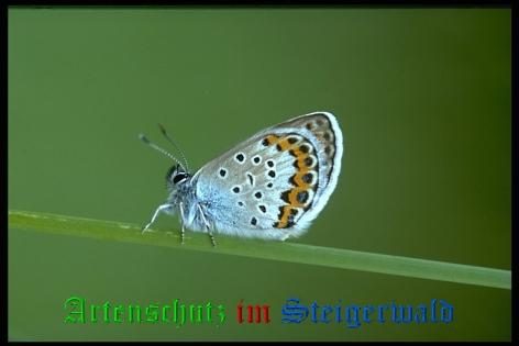 Copyright AiS / Mario Maier Bild zum Eintrag (22423-160)
