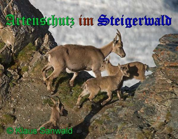 Copyright AiS-Klaus Sanwald Bild zum Eintrag (22449-160)