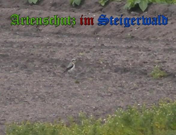 Copyright AiS / 2010 Tomaschek Bild zum Eintrag (22501-160)