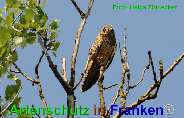 Copyright AiF Helga Zinnecker Bild zum Eintrag (22548-160)