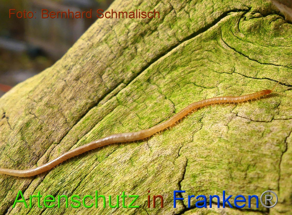 Copyright AiF / Bernhard Schmalisch Bild zum Eintrag (22588-160)