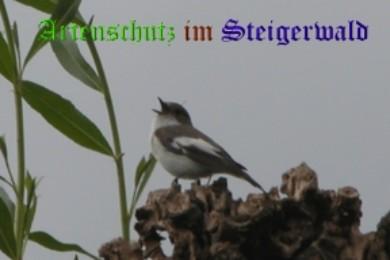Copyright AiS / Peter Haas Bild zum Eintrag (22603-160)