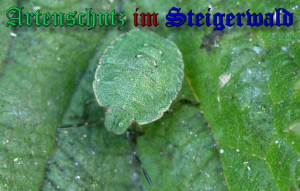 Copyright AiS / 2009 Albert Meier Bild zum Eintrag (22730-160)