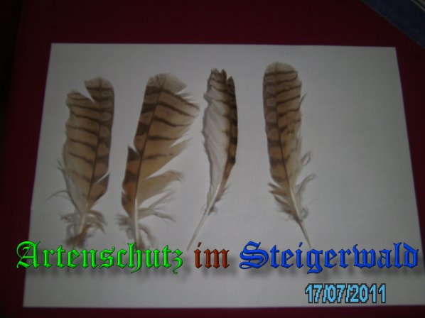 Bild zum Eintrag (22917-160)