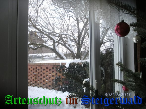 Copyright AiS-Baare Bild zum Eintrag (22922-160)