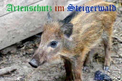 Copyright AiS / Günter Neuberger Bild zum Eintrag (23028-160)