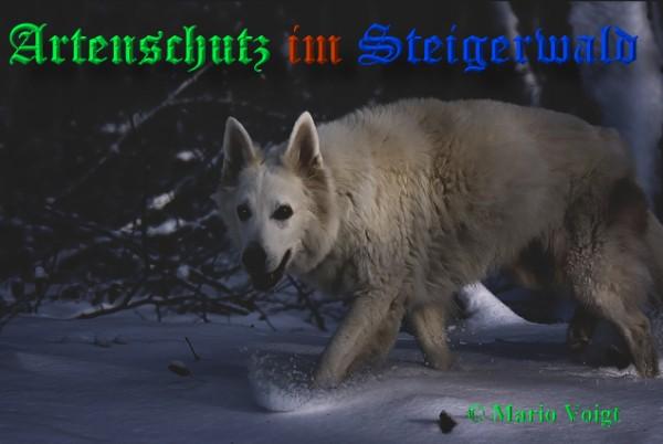 Copyright AiS / 2009 Mario Voigt Bild zum Eintrag (23080-160)