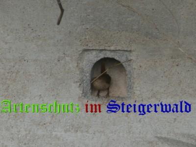 Copyright AiS / Köhler M. Bild zum Eintrag (23105-160)