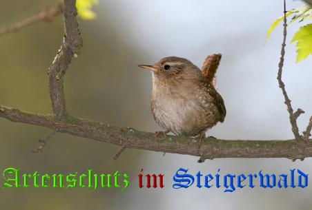 Copyright AiS / Andy Gehrig Bild zum Eintrag (23111-160)
