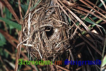 Copyright AiS / 2008 Hubertus Zinnecker Bild zum Eintrag (23170-160)