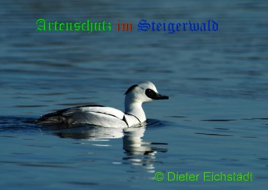 Copyright AiS / 2009 Dieter Eichstädt Bild zum Eintrag (23175-160)