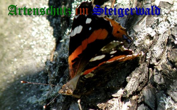 Copyright AiS- Albert Meier Bild zum Eintrag (23560-160)