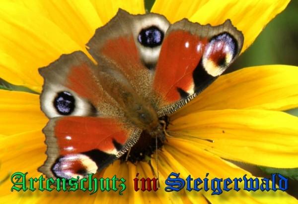 Copyright AiS / 2009 Albert Meier Bild zum Eintrag (23600-160)