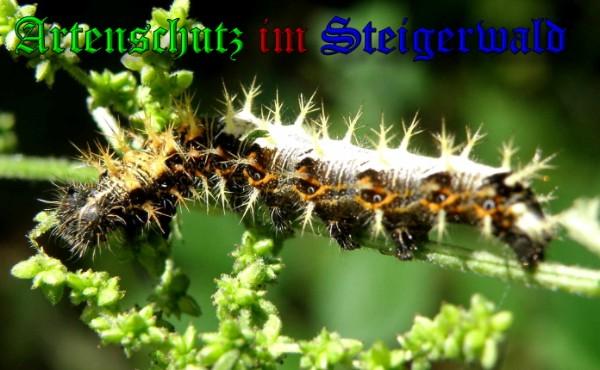 Copyright AiS / 2009 Albert Meier Bild zum Eintrag (23645-160)