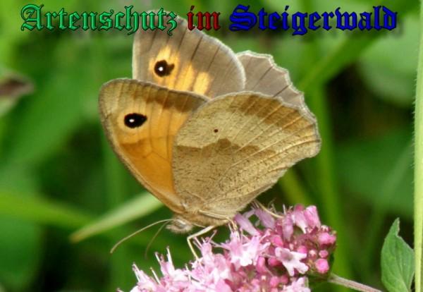 Copyright AiS / 2009 Albert Meier Bild zum Eintrag (23700-160)