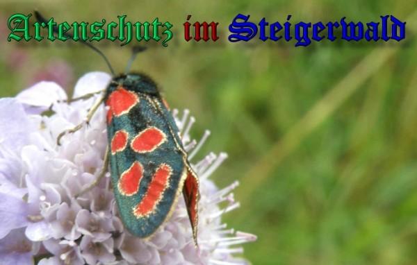 Copyright AiS / 2009 Albert Meier Bild zum Eintrag (23706-160)