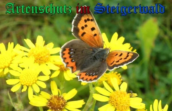 Copyright AiS / 2009 Albert Meier Bild zum Eintrag (23716-160)