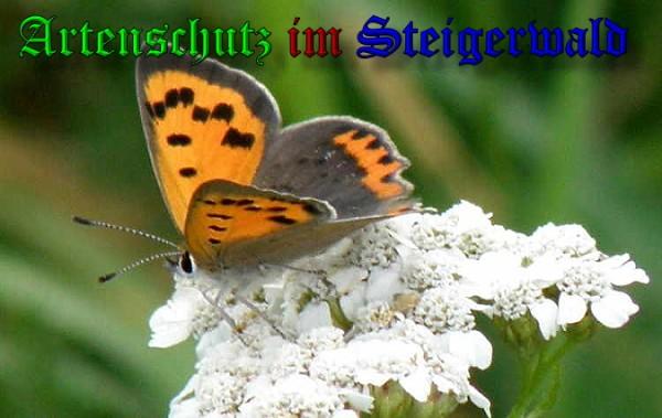 Copyright AiS / 2009 Albert Meier Bild zum Eintrag (23717-160)
