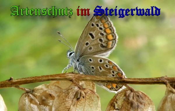 Copyright AiS / 2009 Albert Meier Bild zum Eintrag (23773-160)