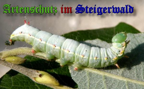 Copyright AiS / 2009 Albert Meier Bild zum Eintrag (23782-160)