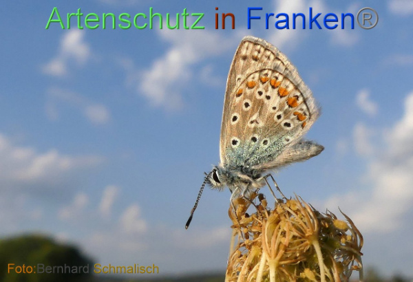 Copyright AiF / Bernhard Schmalisch Bild zum Eintrag (23808-160)