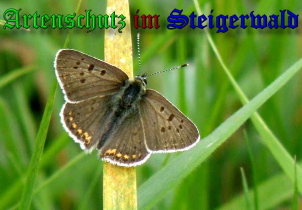 Copyright AiS / 2009 Albert Meier Bild zum Eintrag (23819-160)